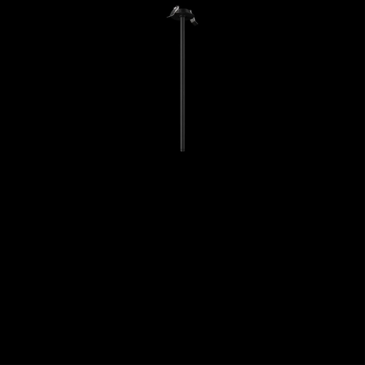 10359/500 Black Потолочный светильник LOFT IT Cane — изображение 8