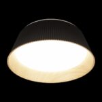 10224 Black Потолочный светильник LOFT IT Evans — изображение 4