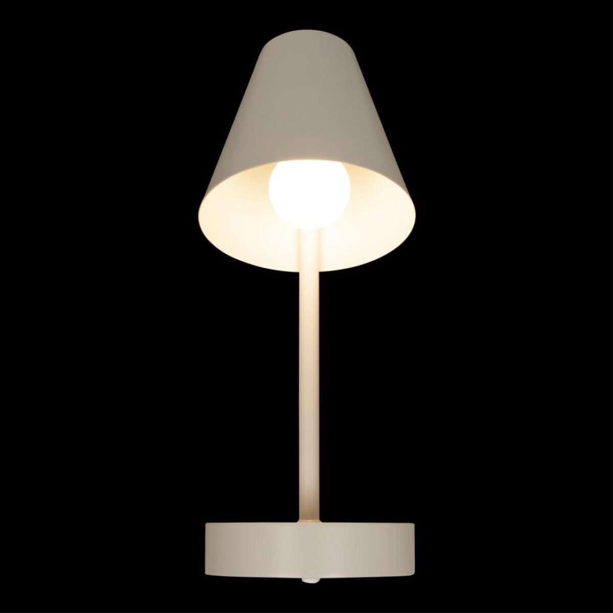 10216/1W White Настенный светильник LOFT IT Shelf — изображение 2