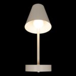 10216/1W White Настенный светильник LOFT IT Shelf — изображение 2