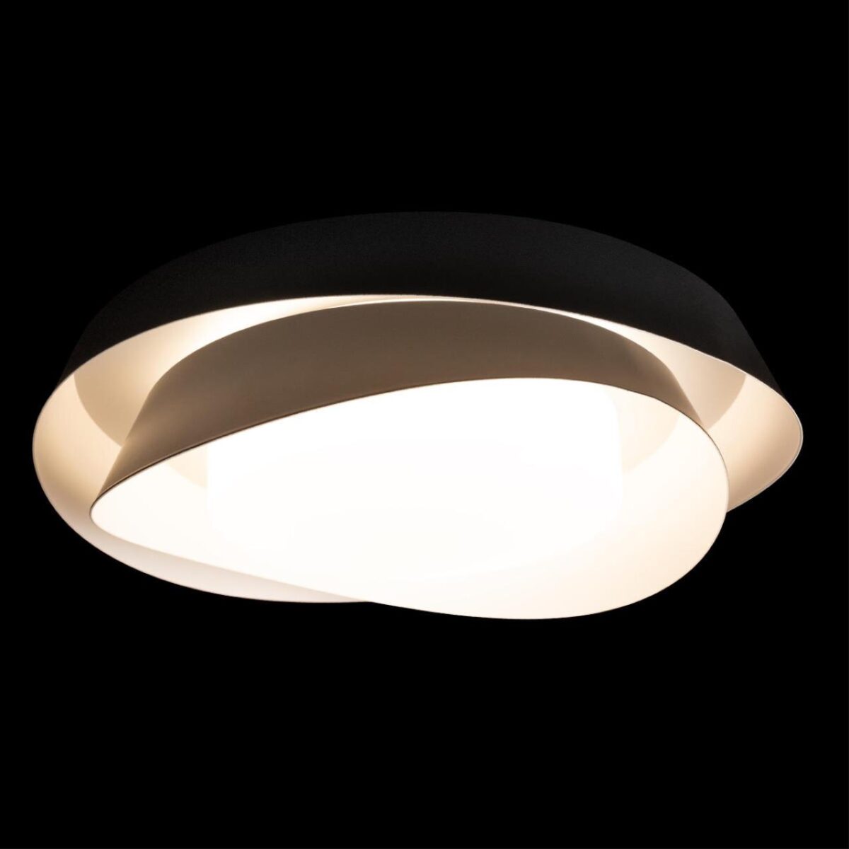 10256 Black Потолочный светильник LOFT IT Petale — изображение 2