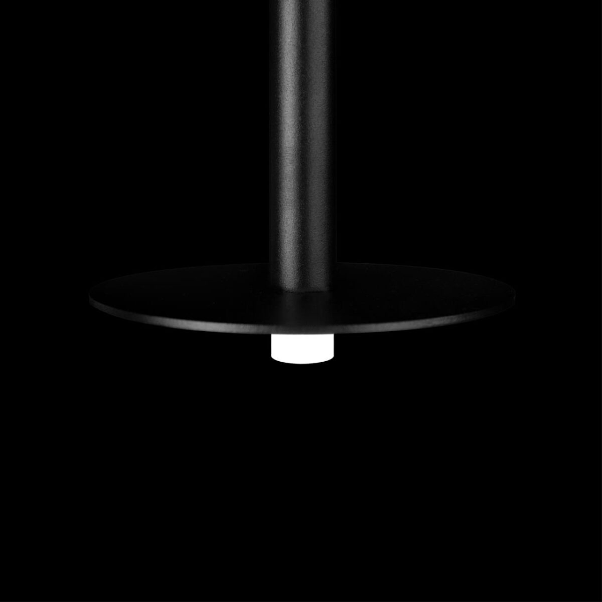 10358/830 Disk Подвесной светильник LOFT IT Reed — изображение 8