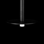 10358/830 Disk Подвесной светильник LOFT IT Reed — изображение 8