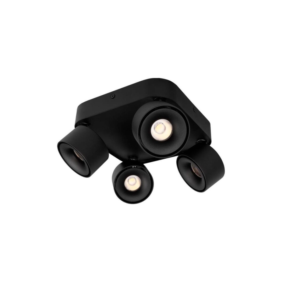 10326 Black Накладной светильник LOFT IT Case — изображение 1