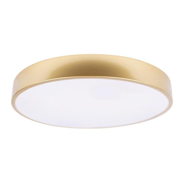 10228/A Потолочный светильник LOFT IT Flims