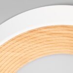 10255/350 White Потолочный светильник LOFT IT Folk — изображение 4