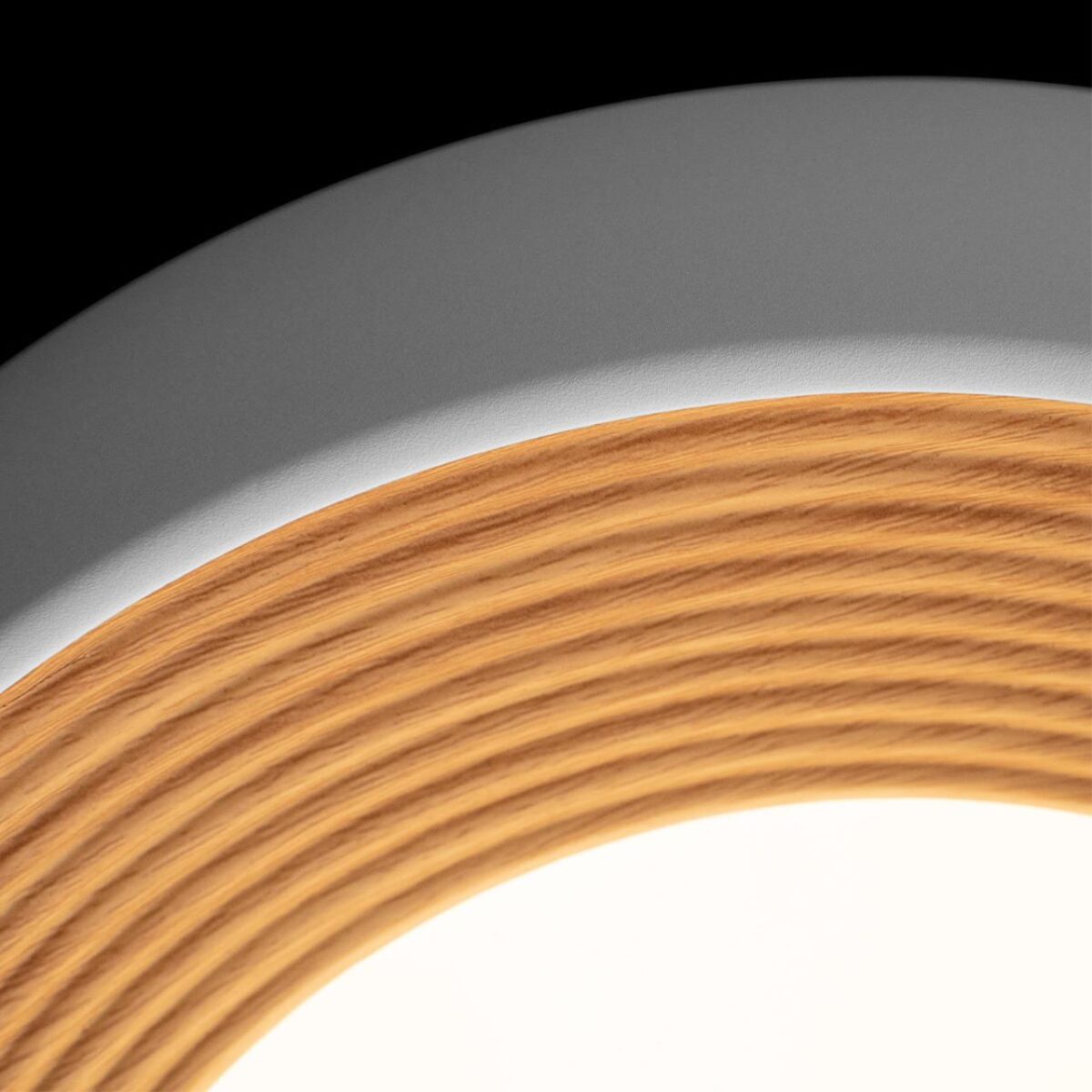 10255/350 White Потолочный светильник LOFT IT Folk — изображение 5