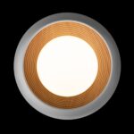 10255/350 White Потолочный светильник LOFT IT Folk — изображение 3