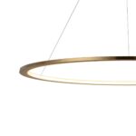 10014XL Подвесной светильник LOFT IT Ring — изображение 5