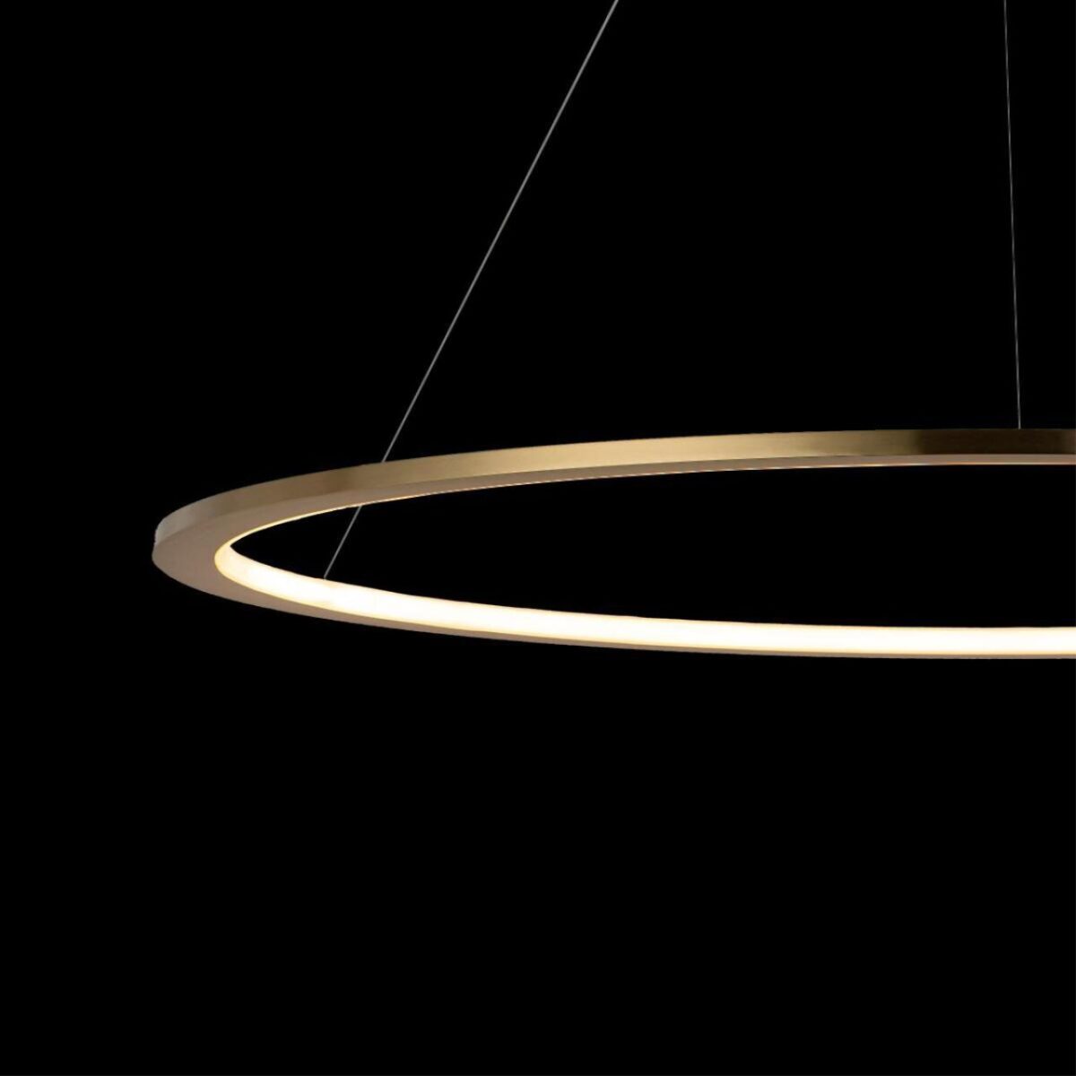 10014XL Подвесной светильник LOFT IT Ring — изображение 6