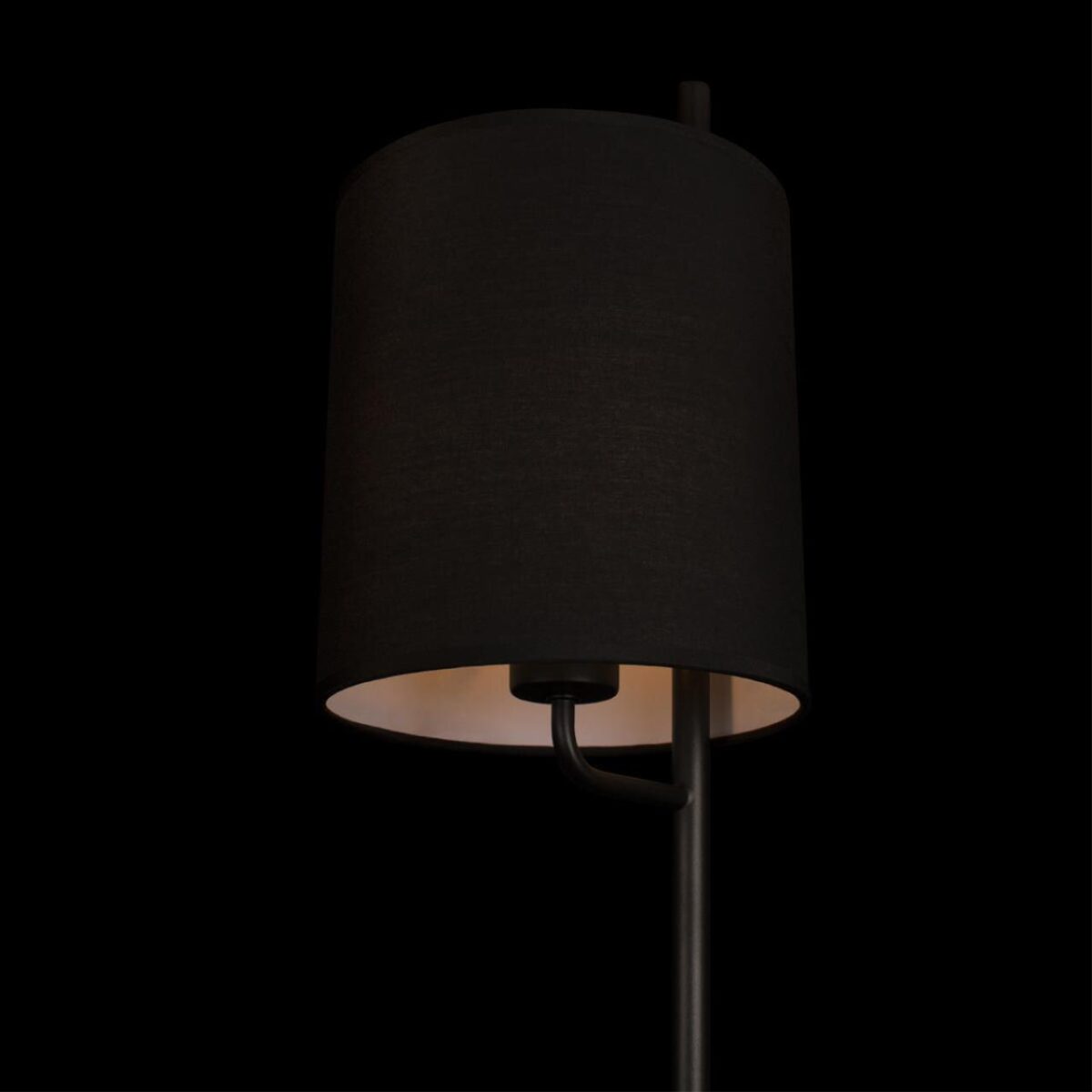 10253F/A Black Торшер LOFT IT Ritz — изображение 6