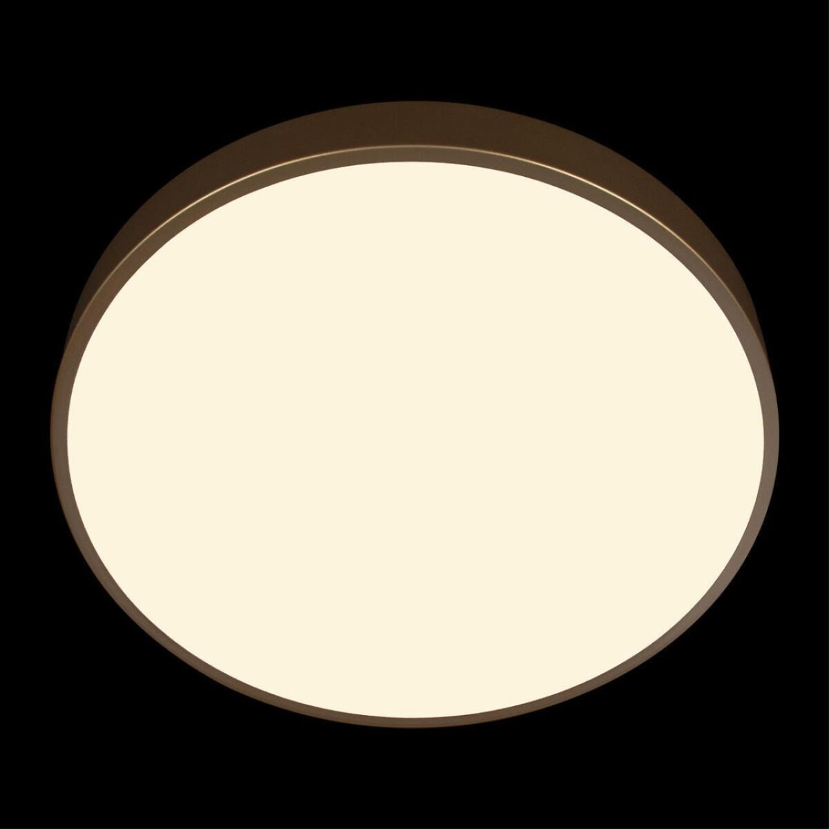 10228/A Потолочный светильник LOFT IT Flims — изображение 6