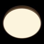 10228/A Потолочный светильник LOFT IT Flims — изображение 6