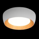 10255/500 White Потолочный светильник LOFT IT Folk — изображение 2