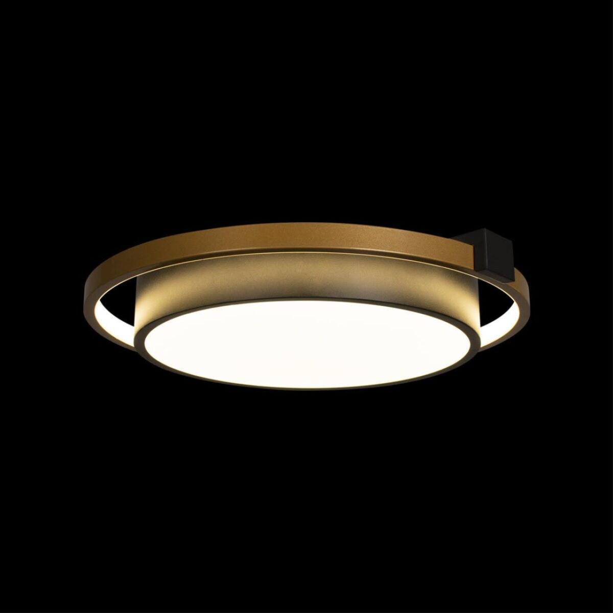 10169 Потолочный светильник LOFT IT Mike — изображение 4