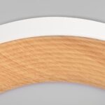 10255/500 White Потолочный светильник LOFT IT Folk — изображение 4