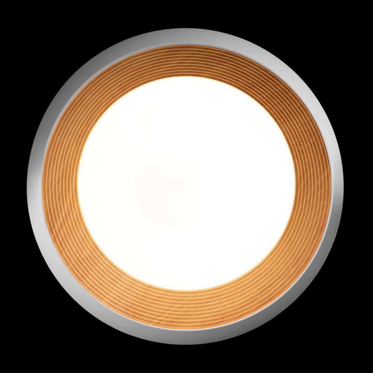 10255/500 White Потолочный светильник LOFT IT Folk — изображение 3