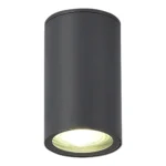 SL9010.712.01 Светильник уличный потолочный ST-Luce серый GU10 1*50W TUBO