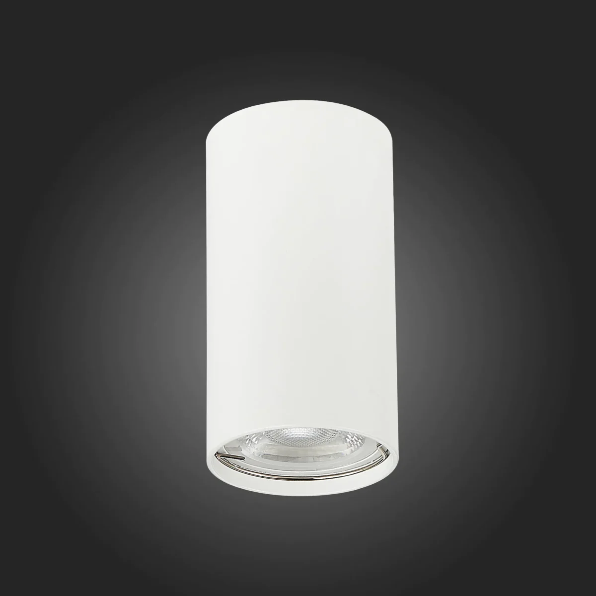 ST110.507.01 Светильник потолочный Белый GU10 1*50W  D54xH100 220V Без ламп Накладные светильники — изображение 5