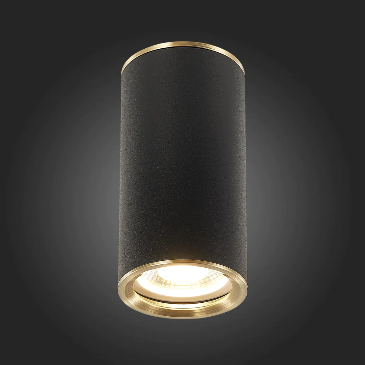 ST111.437.01 Светильник потолочный Черный GU10 1*50W D54xH105 220V Без ламп Накладные светильники — изображение 2