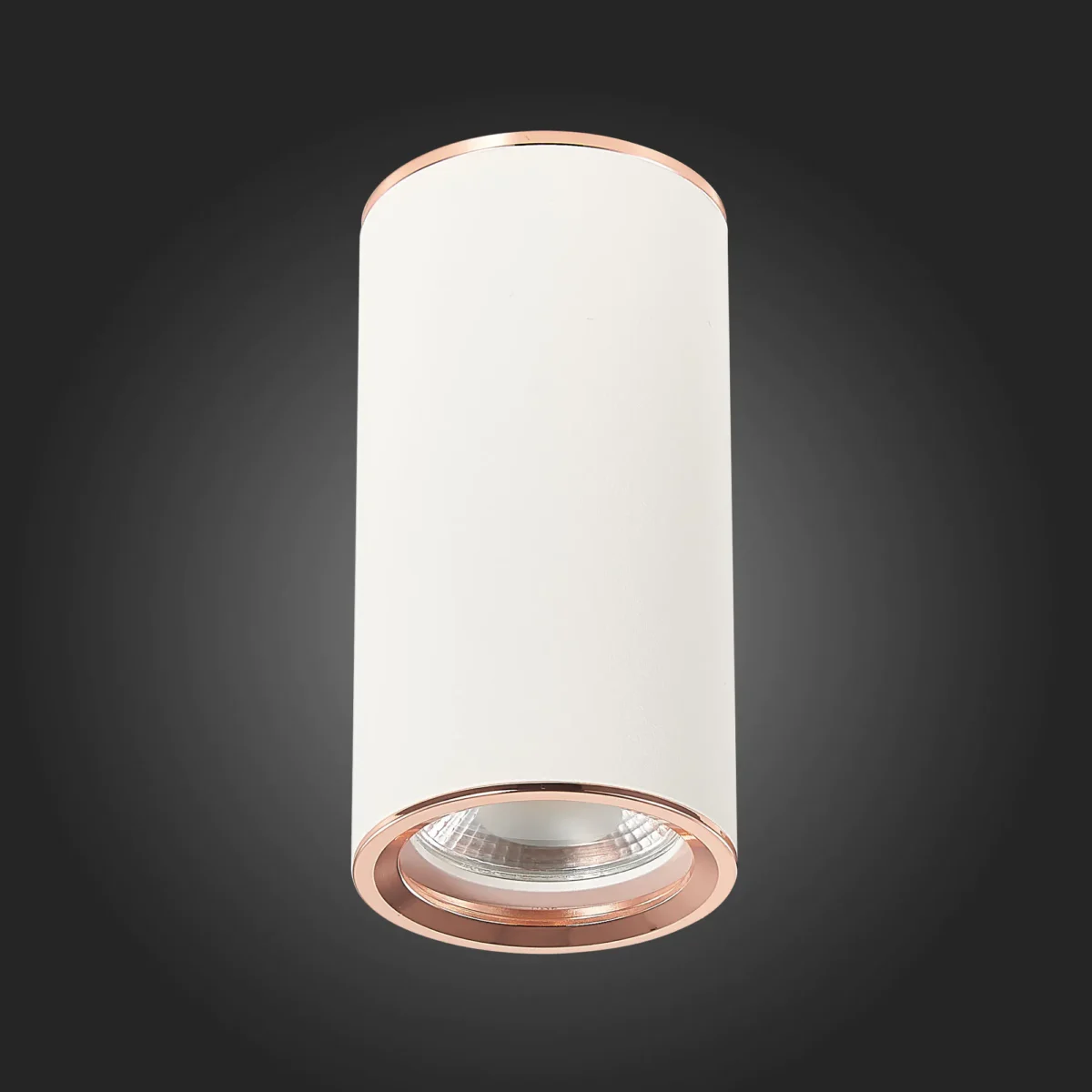 ST111.527.01 Светильник потолочный Белый GU10 1*50W D54xH105 220V Без ламп Накладные светильники — изображение 5