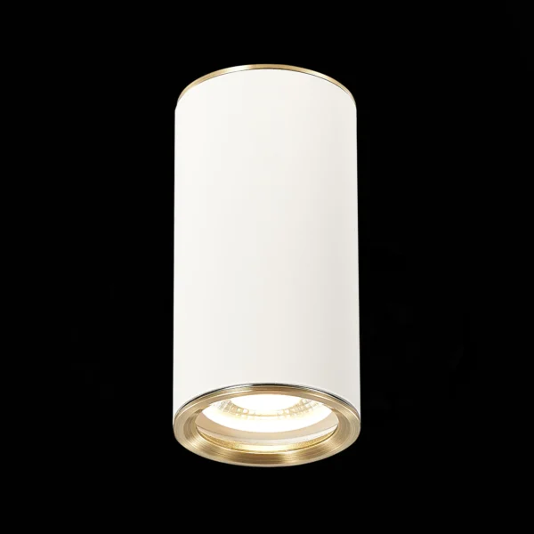 ST111.537.01 Светильник потолочный Белый GU10 1*50W D54xH105 220V Без ламп Накладные светильники