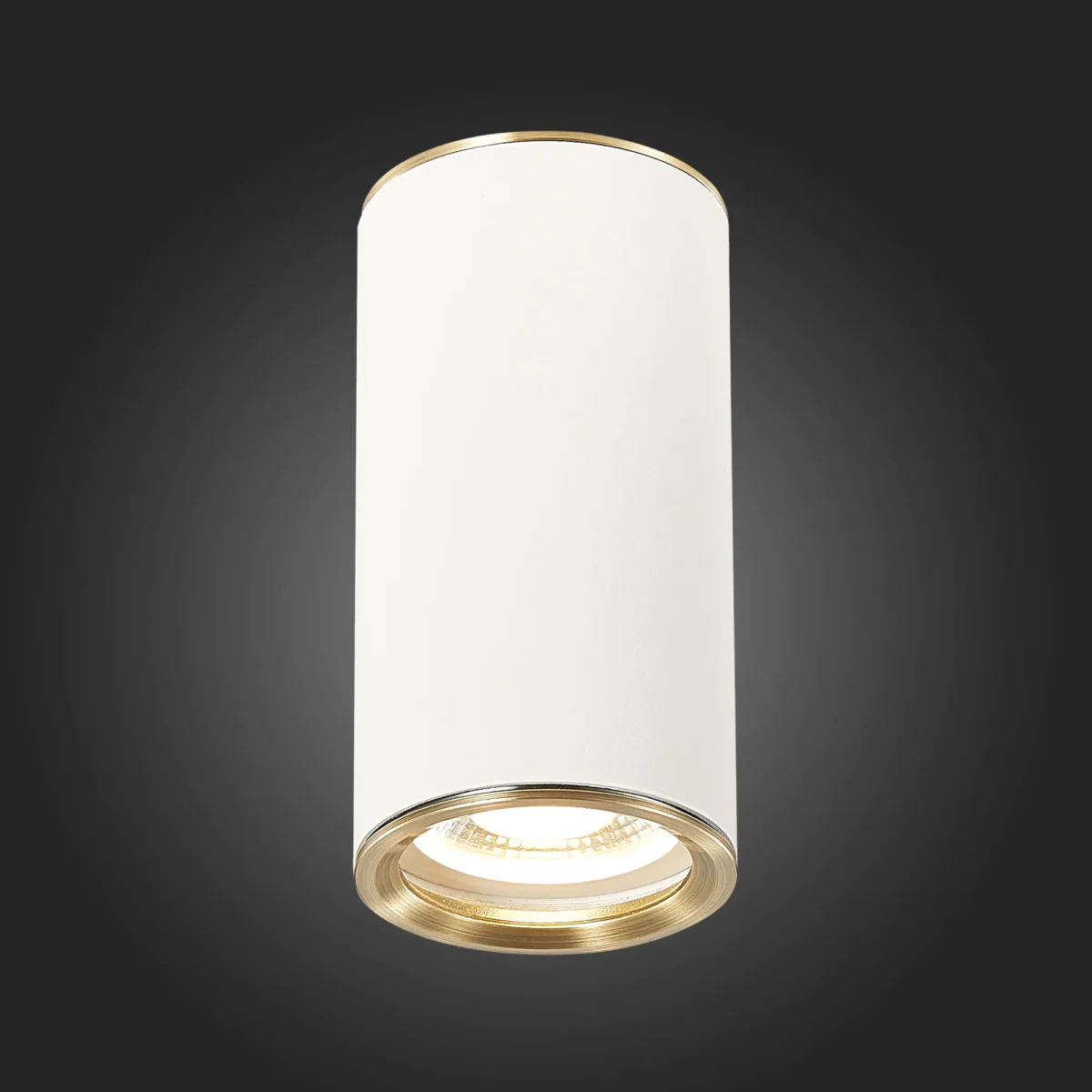 ST111.537.01 Светильник потолочный Белый GU10 1*50W D54xH105 220V Без ламп Накладные светильники — изображение 2