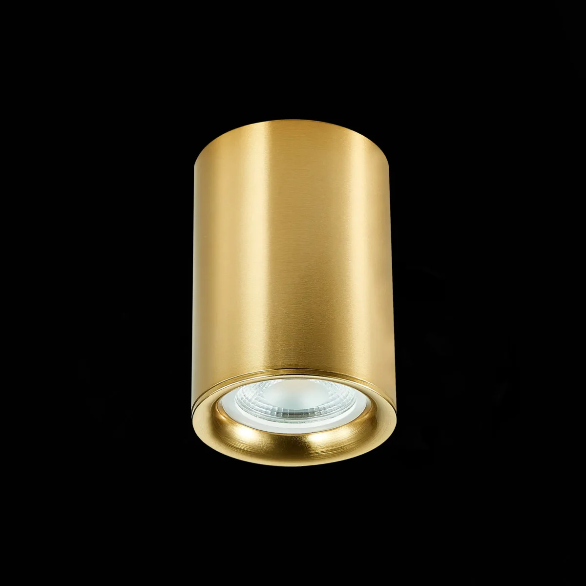 ST114.207.01 Светильник потолочный Золотистый GU10 1*50W  IP20 L65xW65xH93 220V Без ламп Накладные светильники — изображение 4