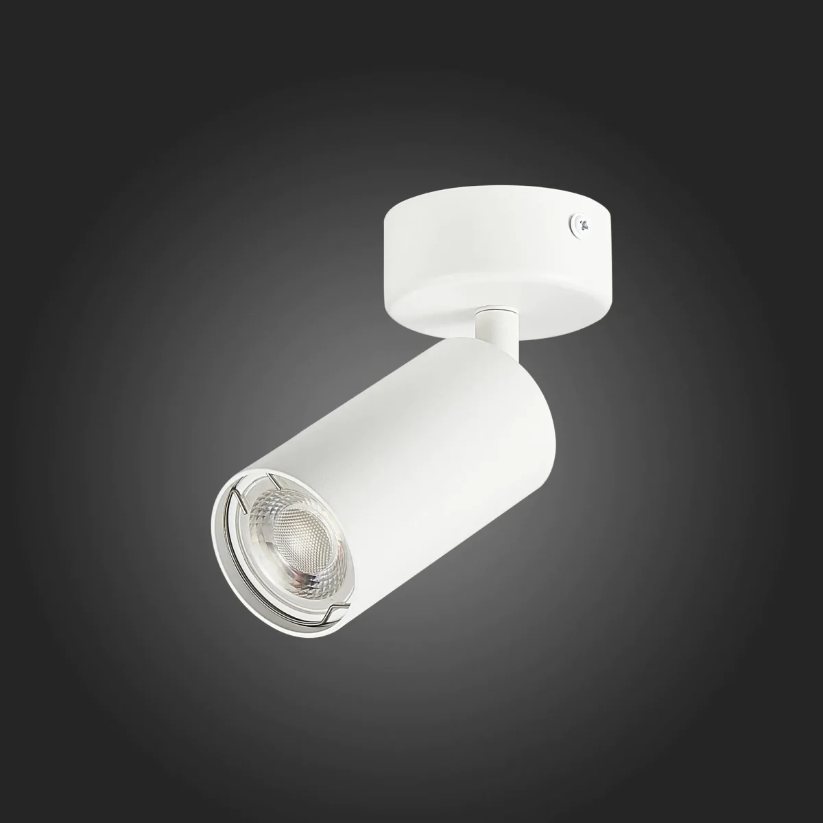 ST303.502.01 Потолочный светильник Белый GU10 1*50W  L100xW54xH168 220V Без ламп Накладные светильники — изображение 5