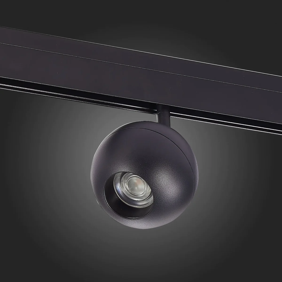ST354.446.12 Магнитный трековый светильник Черный LED 1*12W 4000K 680Lm Ra>80 36° IP20 L120xW100xH19 SKYLINE 48 — изображение 5
