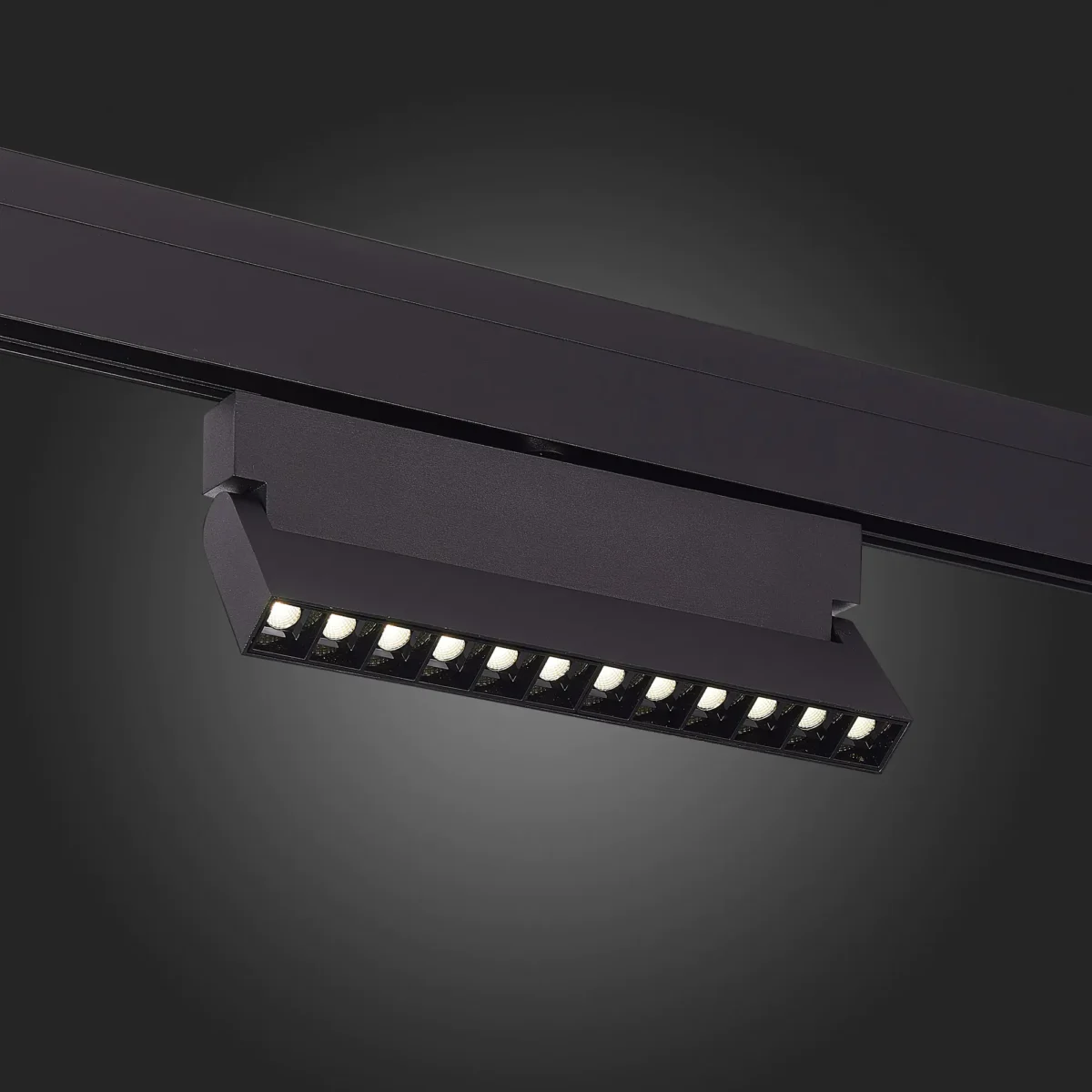 ST362.436.12 Магнитный трековый светильник Черный LED 1*12W 3000K 1 009Lm Ra>80 36° IP20 L219xW22xH1 SKYLINE 48 — изображение 2