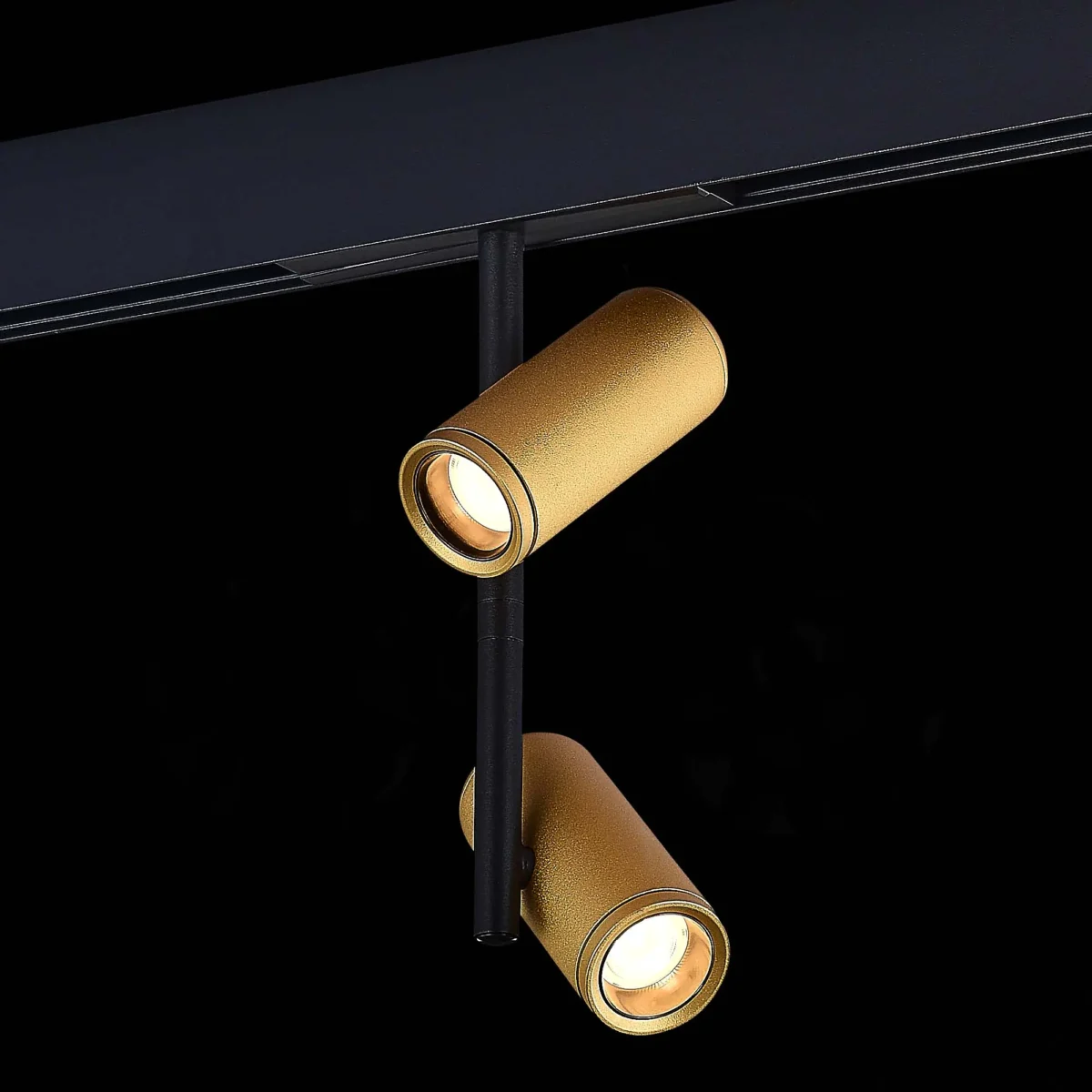 ST808.236.16_01B ST808.236.16 Магнитный трековый светильник Золотистый LED 1*16W 3000K 1 100Lm Ra>90 36° IP20 D45xH24 SKYLINE 48 — изображение 1