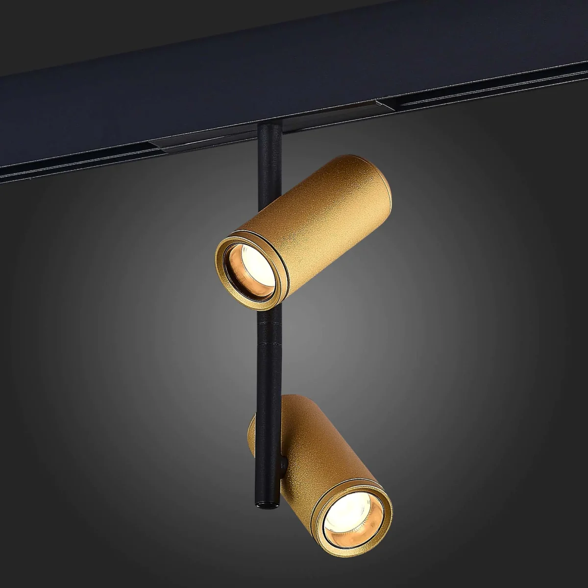 ST808.236.16 Магнитный трековый светильник Золотистый LED 1*16W 3000K 1 100Lm Ra>90 36° IP20 D45xH24 SKYLINE 48 — изображение 2