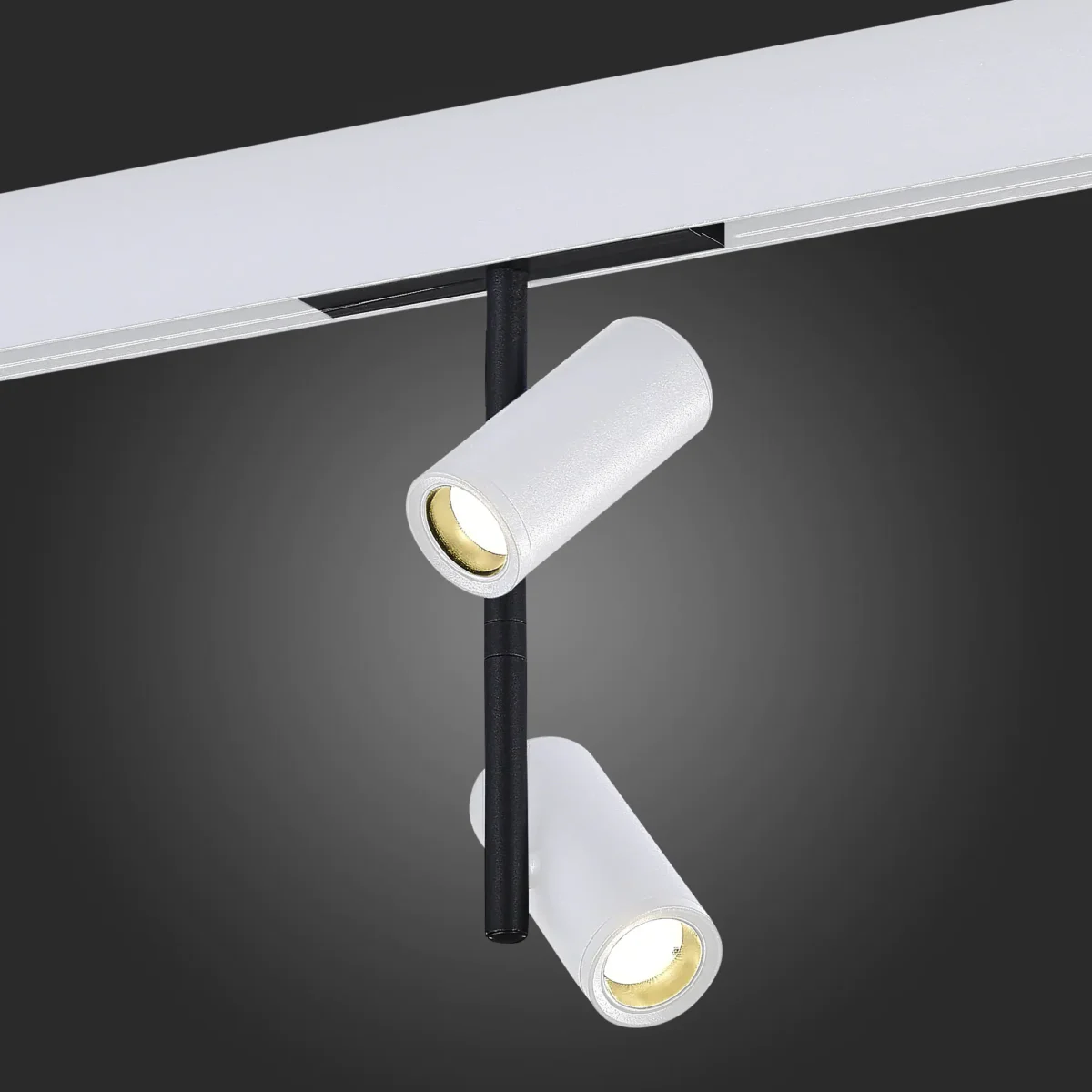 ST808.546.16 Магнитный трековый светильник Белый LED 1*16W 4000K 1 200Lm Ra>90 36° IP20 D45xH240 48V SKYLINE 48 — изображение 2