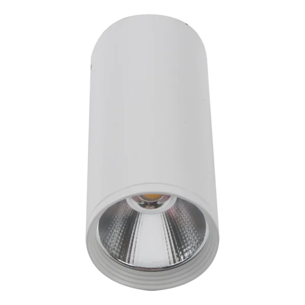 08570-12,01 Светильник Фабио белый