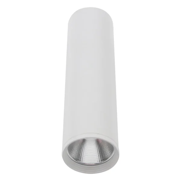 08570-20,01 Светильник Фабио белый