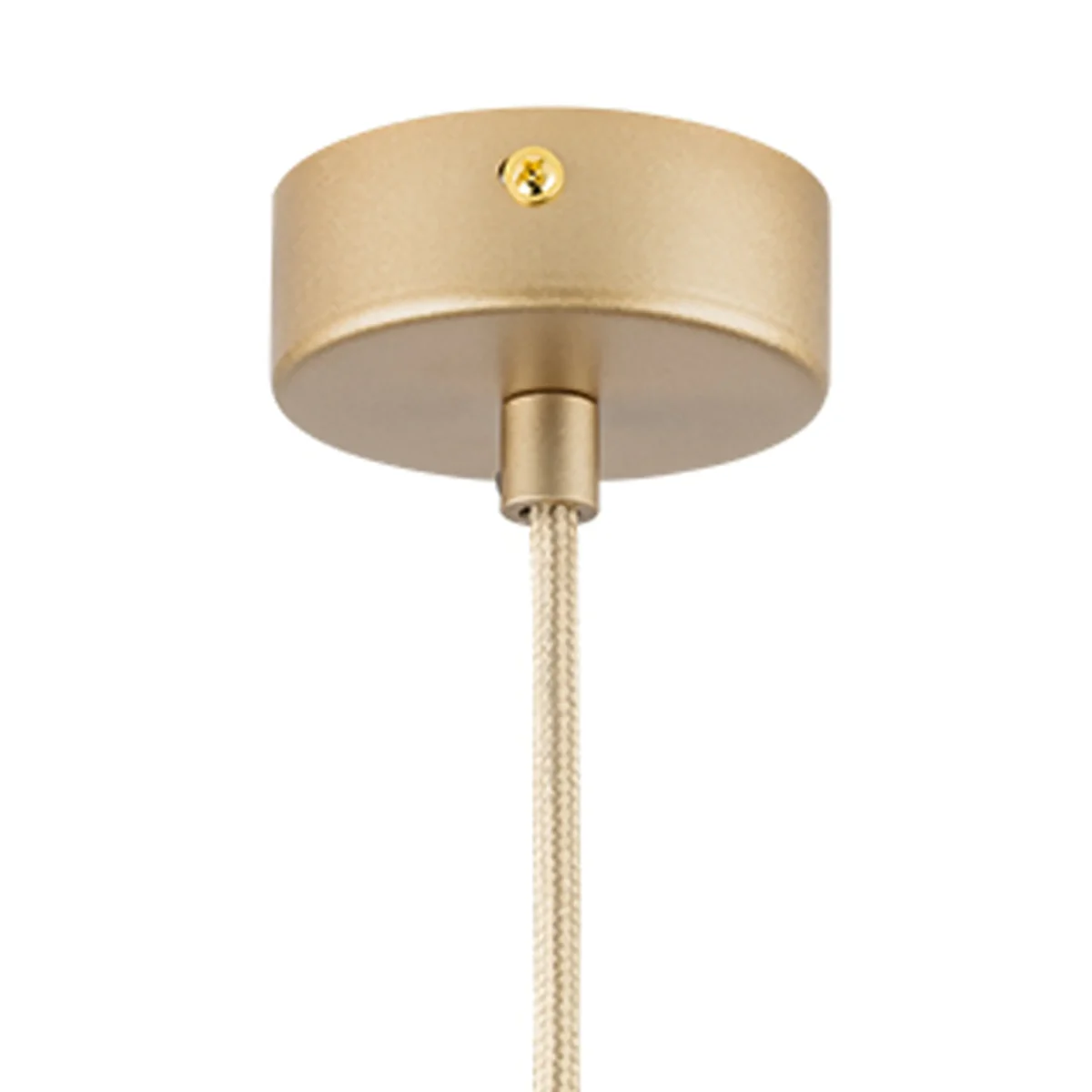 816313 Люстра DUMO 1х40W E27 ШАМПАНЬ — изображение 2