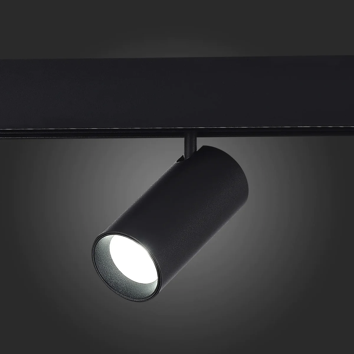 ST375.406.12.1 Магнитный трековый светильник SMART Черный LED 1*12W 2700K-6500K 1 080Lm Ra90 36о IP2 SKYLINE 48 — изображение 2