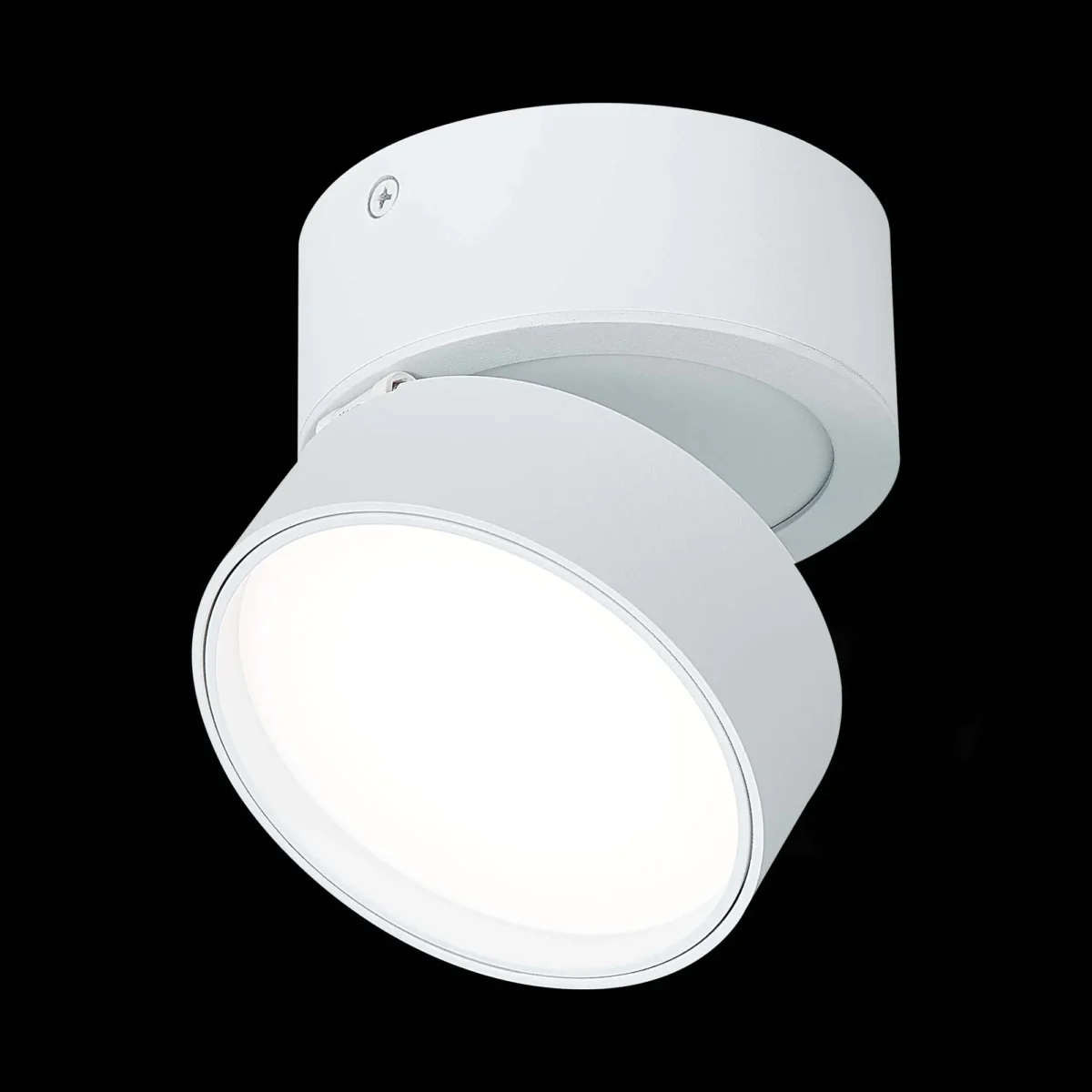 ST651.542.14_01B ST651.542.14 Светильник потолочный поворотный Белый LED 1*14W 4000K 1 100Lm Ra>90 120° IP20 D105xH88 Накладные светильники — изображение 1