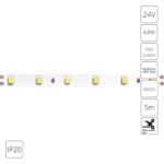 A2406008-03-6K Светодиодная лента 24В 4,8Вт/м 550Лм/м 6000К 90+ 8мм SMD2835 60шт/м 5м IP20