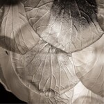 A4078LM-9CC СВЕТИЛЬНИК ПОДВЕСНОЙ — изображение 4