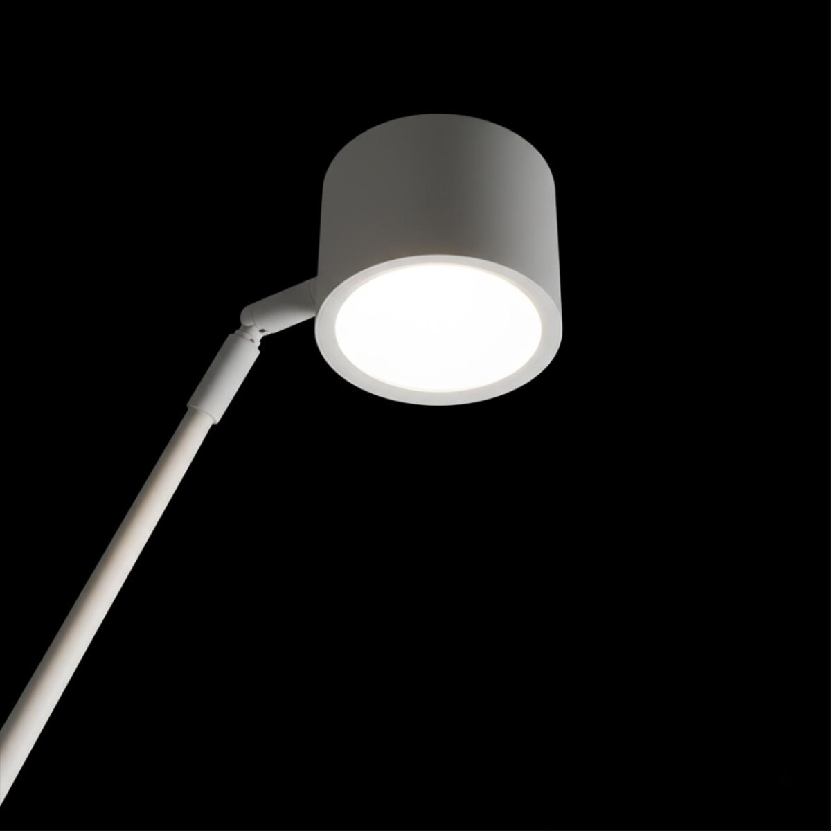 10374/2000 White Торшер LOFT IT Sampei — изображение 5