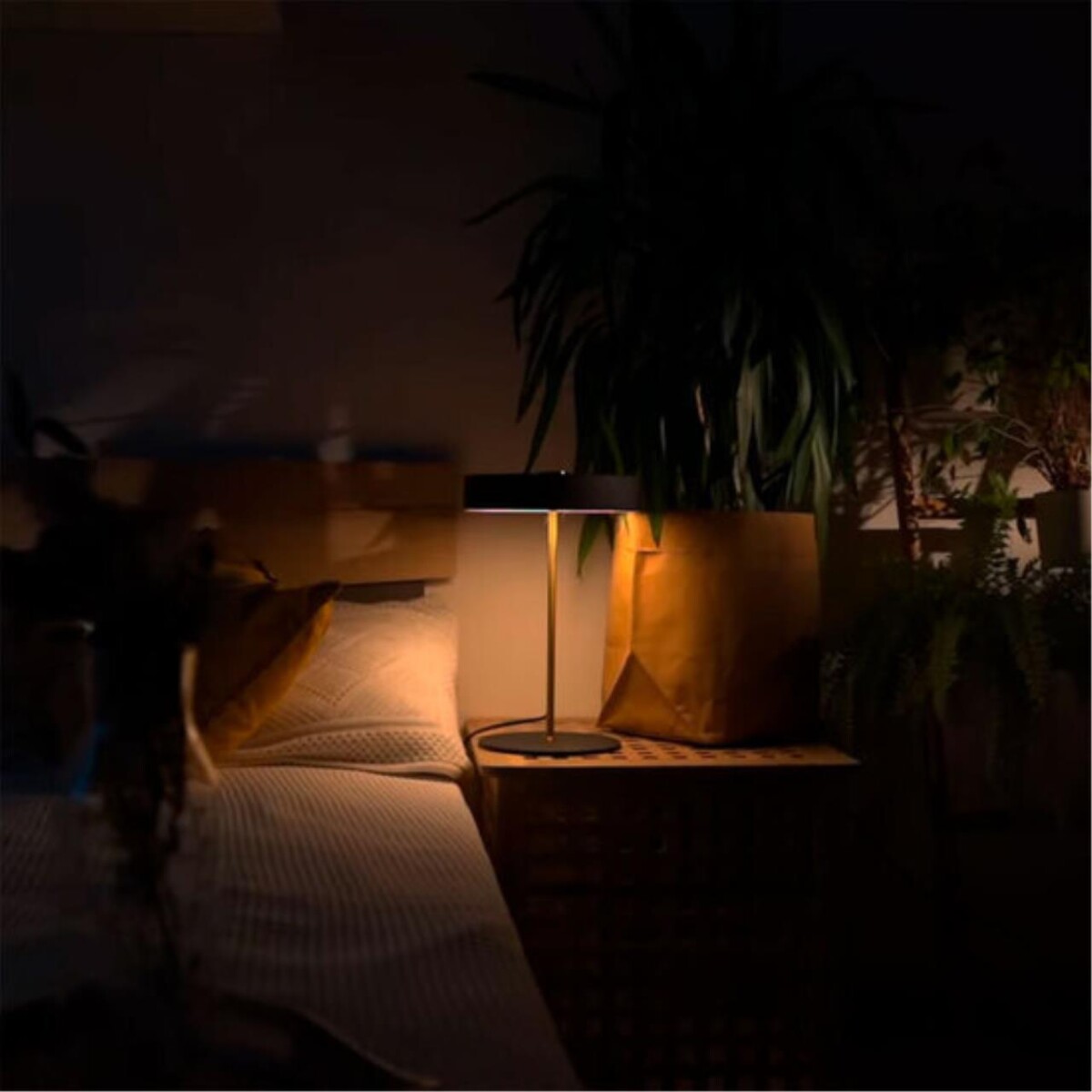 A5038LT-3BK СВЕТИЛЬНИК НАСТОЛЬНЫЙ — изображение 6