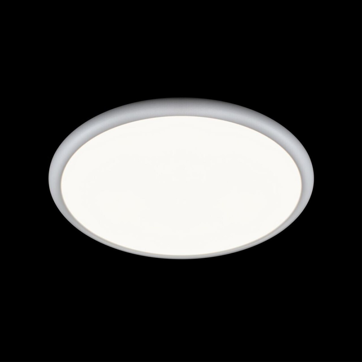 10454/400 White  Потолочный светильник  LOFT IT Sweety — изображение 2