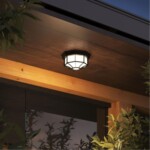 A3100PL-1BK СВЕТИЛЬНИК ПОТОЛОЧНЫЙ — изображение 3