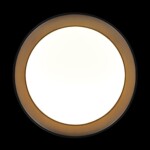 10202 BB  Потолочный светильник  LOFT IT Coin — изображение 4