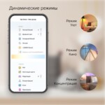 1310112 Лампа светодиодная филаментная Gauss Smart Home DIM+CCT E27 ST64 Golden 6,5 Вт 2000-5500 К 1/10/40 — изображение 4