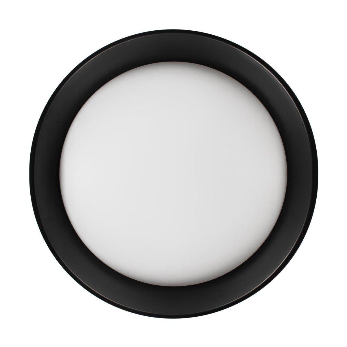 10202 BB  Потолочный светильник  LOFT IT Coin — изображение 3