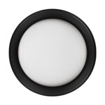 10202 BB  Потолочный светильник  LOFT IT Coin — изображение 3