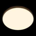 10228/B Потолочный светильник LOFT IT Flims — изображение 6